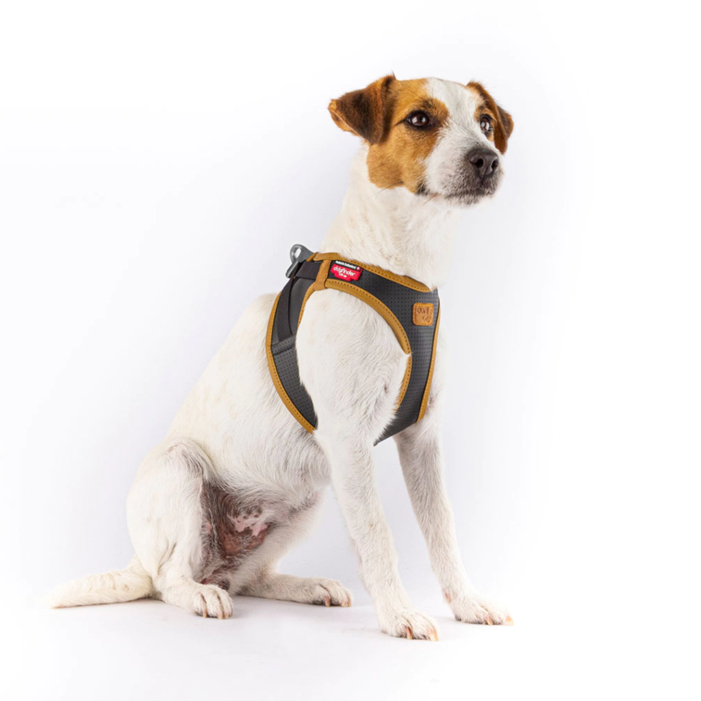 Curli Apple Leather Harness Köpek Göğüs Tasması 30,2x33,8cm (Siyah) [2XS] — görsel 2