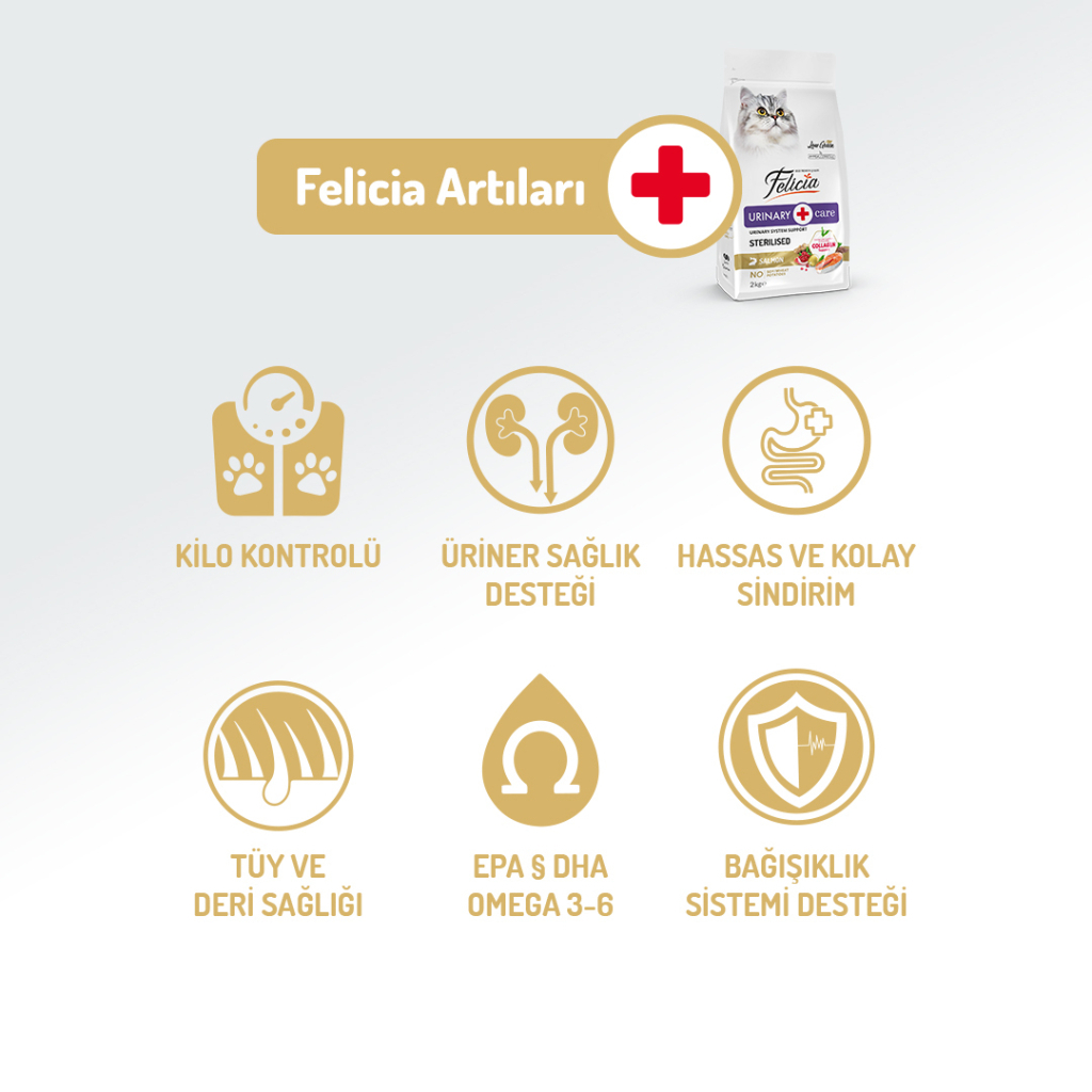 Felicia Hipoalerjenik Üriner Sağlığı için Somonlu Düşük Tahıllı Kısırlaştırılmış Kedi Maması 12kg — görsel 3