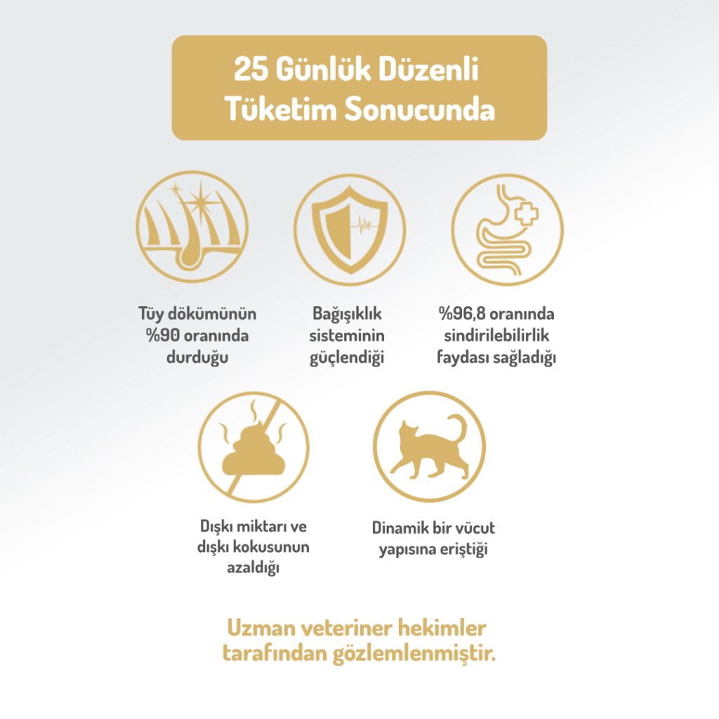 Felicia Hipoalerjenik Üriner Sağlığı için Somonlu Düşük Tahıllı Kısırlaştırılmış Kedi Maması 12kg — görsel 6