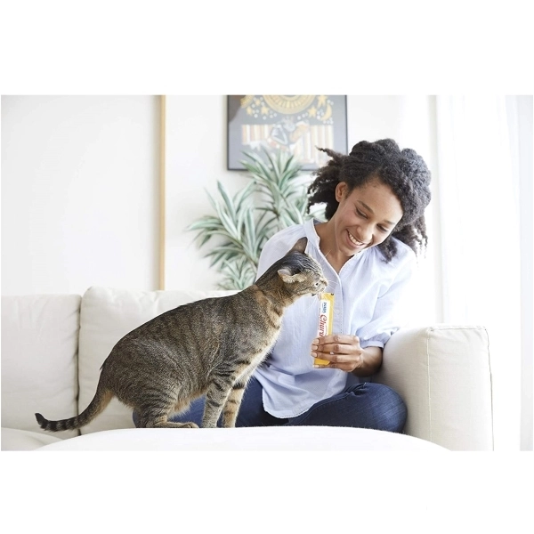 INABA CIAO Churu Bites Tavuk Sargılı Ton Balıklı ve Somonlu Kedi Ödül Maması 10gr (3'lü) — görsel 2