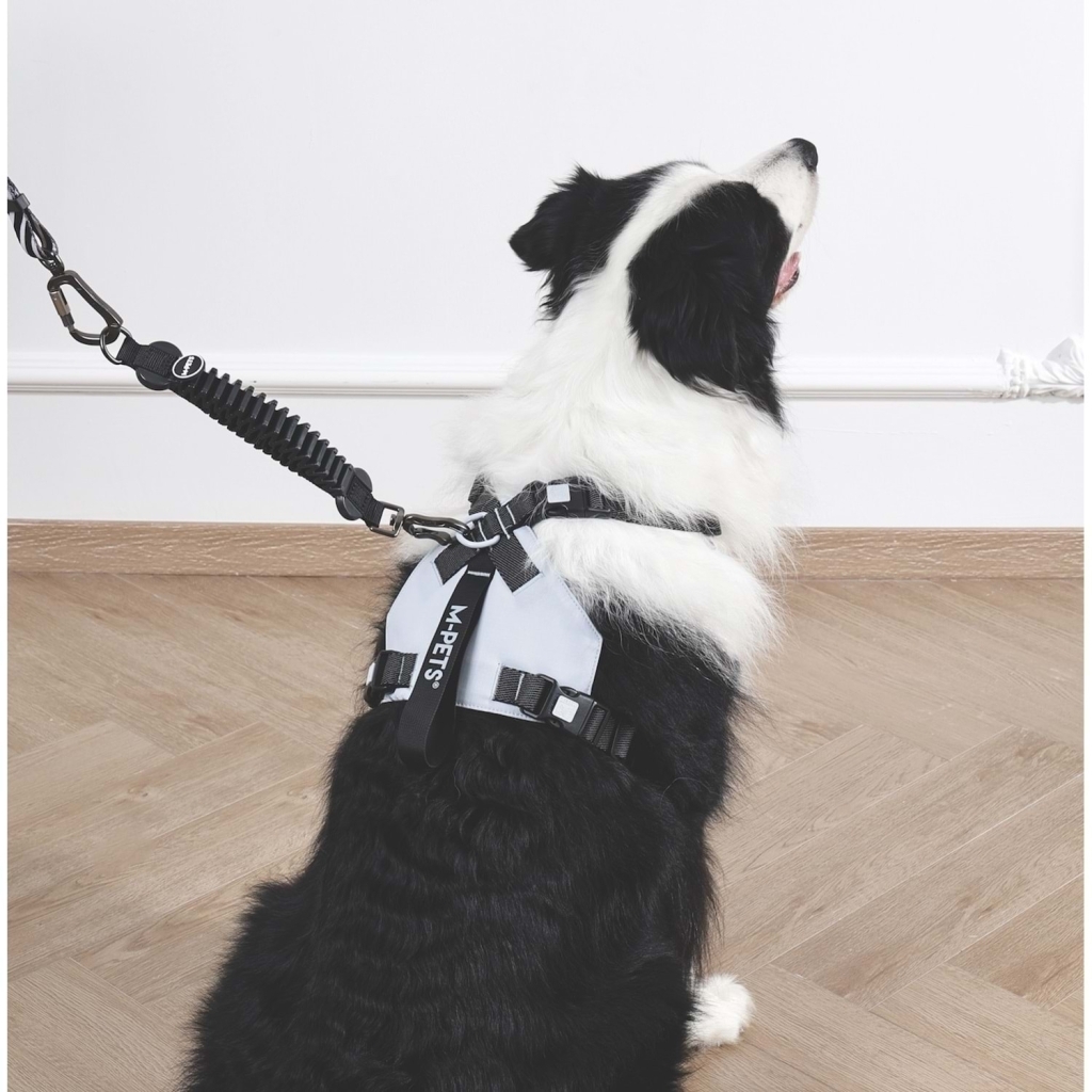 M-Pets Pull Power Köpekler İçin Şok Emici Ara Tasma 25cm (Siyah) — görsel 4
