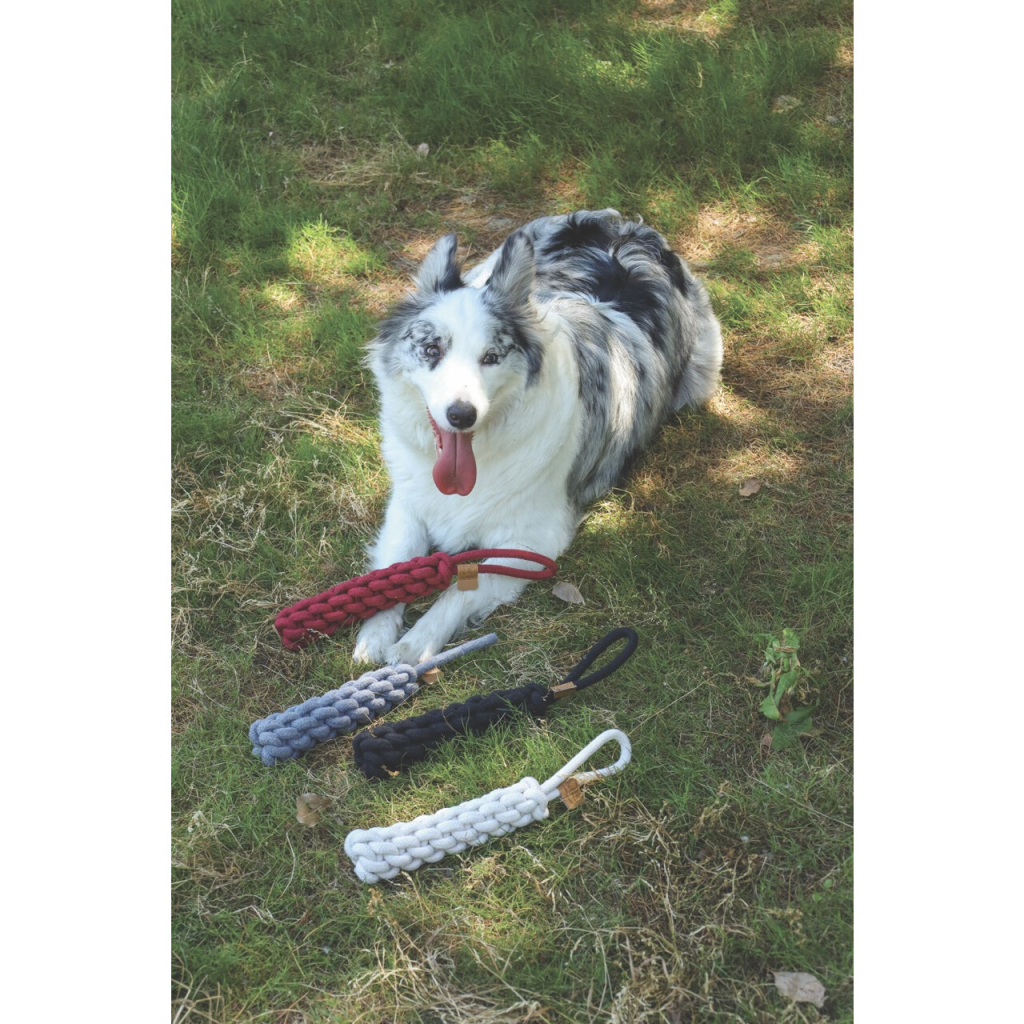 M-Pets Örgü Köpek Diş İpi 34cm (Siyah) — görsel 2