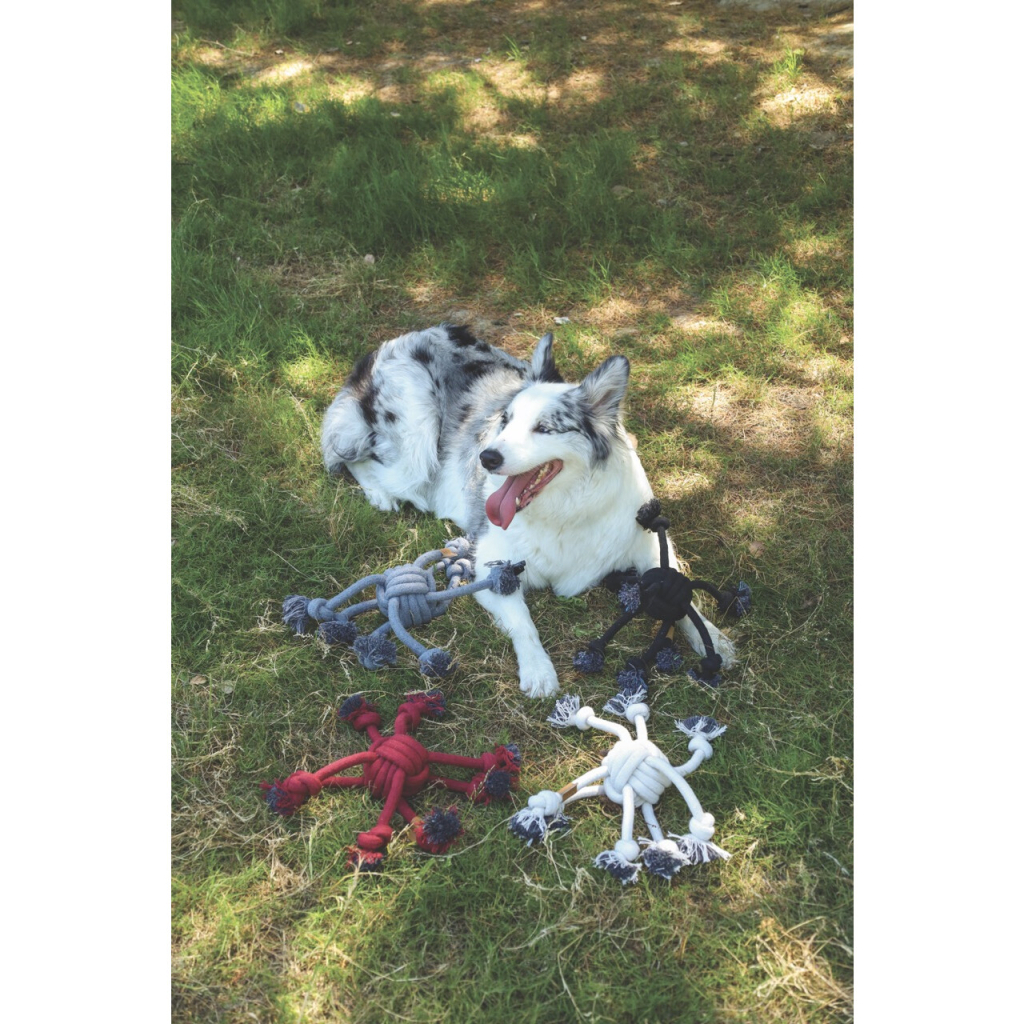 M-Pets Örgü Örümcek Köpek Oyuncağı 38x9cm (Kırmızı) — görsel 2