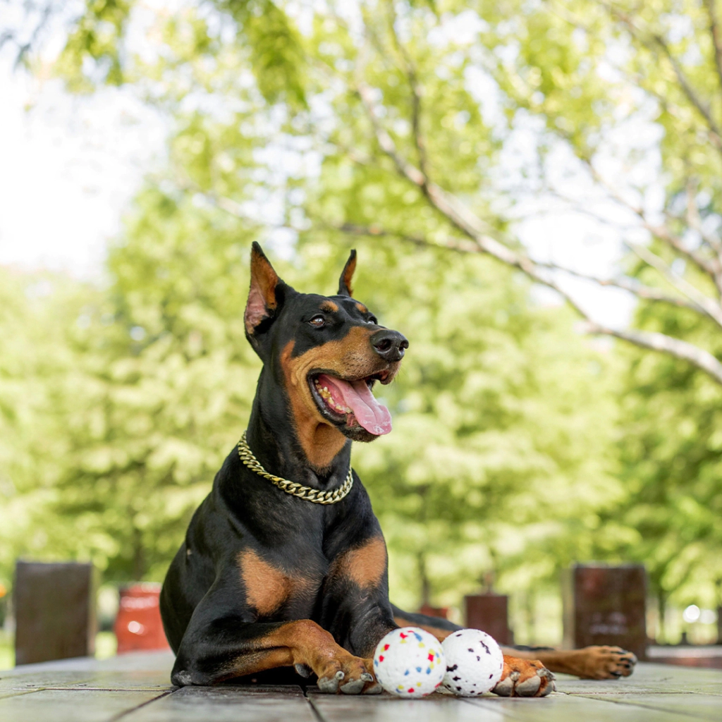 M-Pets Bloom Ball Parçalanmaz Top Köpek Oyuncağı 7cm (Beyaz) — görsel 4