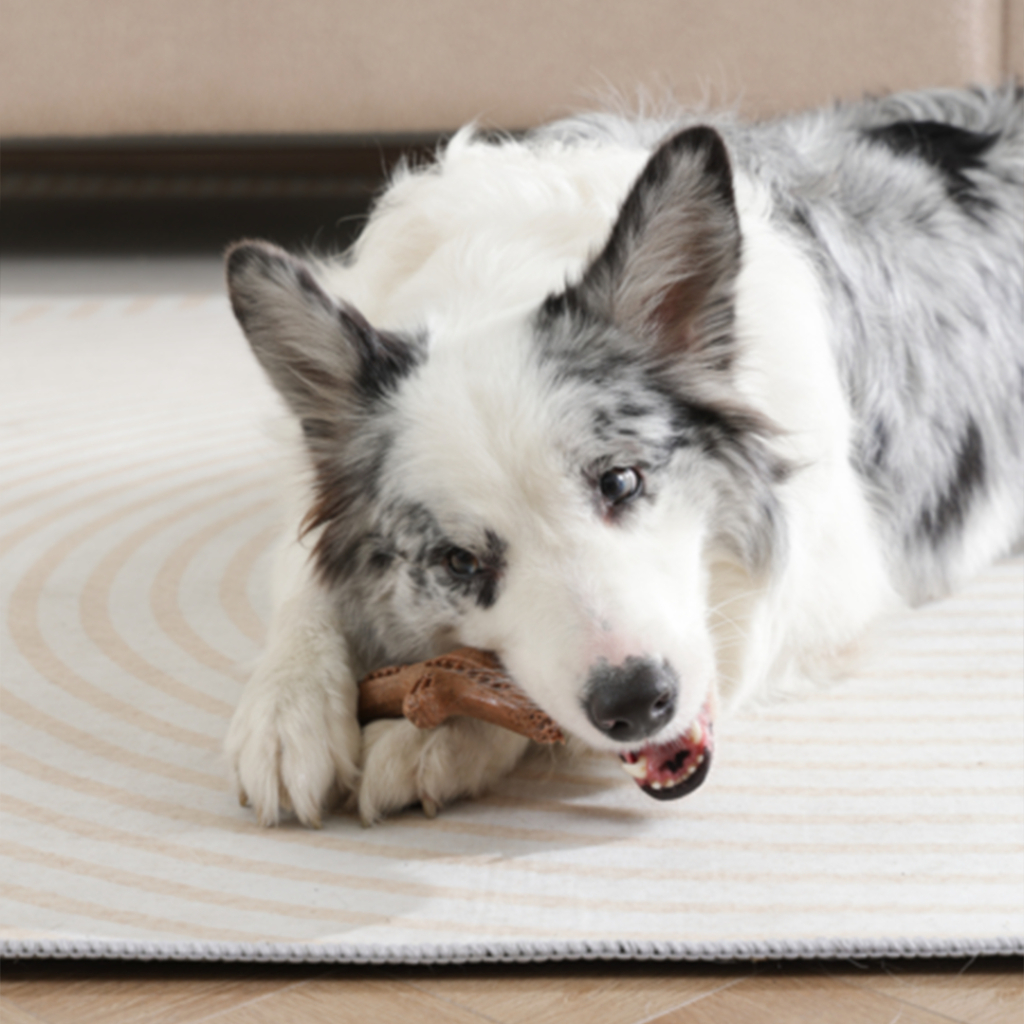 M-Pets Chewood Köpek Oyuncağı 15,3x9,6x4,2cm [S] — görsel 4
