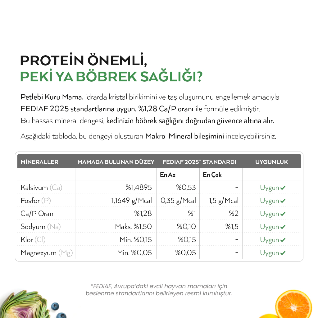 Petlebi Somonlu Kısırlaştırılmış Kedi Maması 2kg — görsel 4