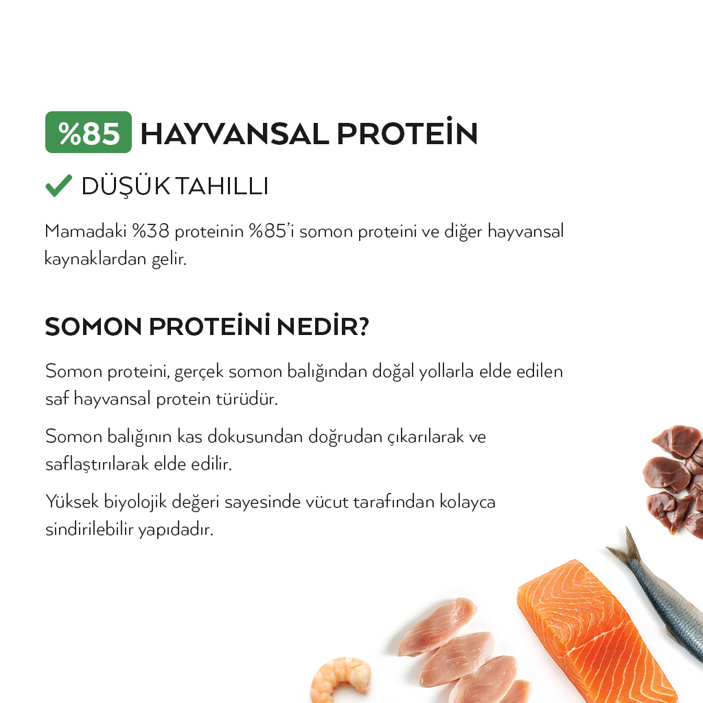 Petlebi Somonlu Yavru Kedi Maması 2kg — görsel 3