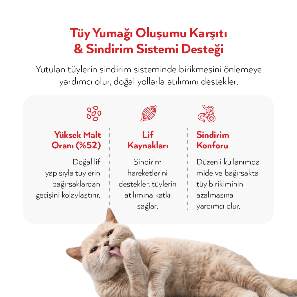 Petlebi Tüy Dökülmesi Azaltıcı ve Tüy Yumağı Önleyici Kolajenli Malt Kedi Macunu 100gr — görsel 3