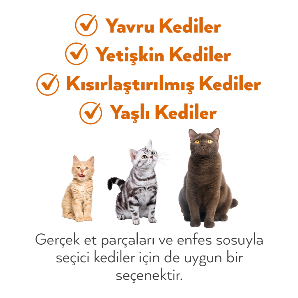 Petlebi Sos İçinde Tiftiklenmiş Taze Tavuk Etli Kedi Konservesi 70gr (12 Adet) — görsel 5
