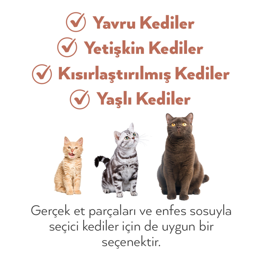 Petlebi Sos İçinde Fileto Taze Ton Balıklı ve Somonlu Kedi Konservesi 70gr (12 Adet) — görsel 5