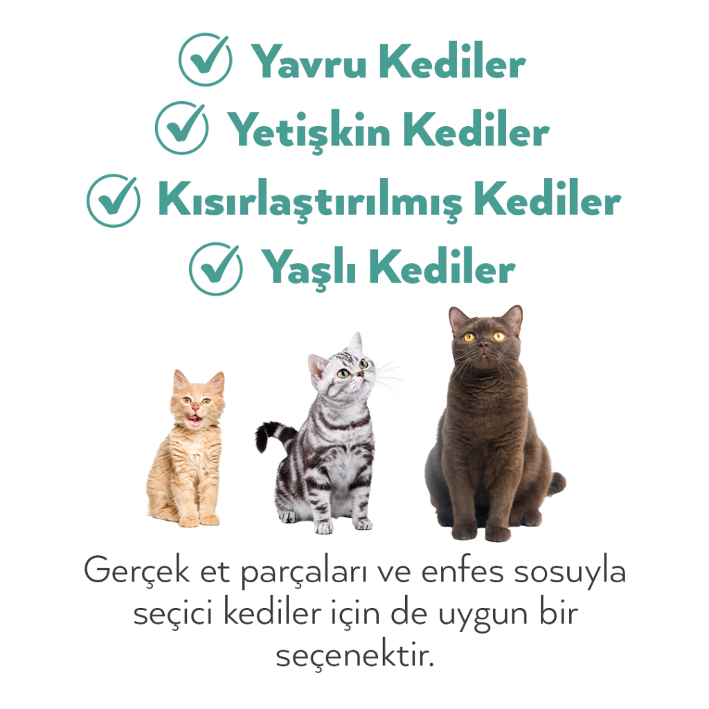 Petlebi Sos İçinde Fileto Taze Ton Balıklı Kedi Konservesi 70gr (12 Adet) — görsel 5