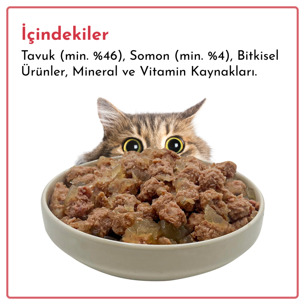 Rimba Sos İçinde Parçalı Somon Balıklı Kedi Konservesi 400gr (6 Adet) — görsel 6