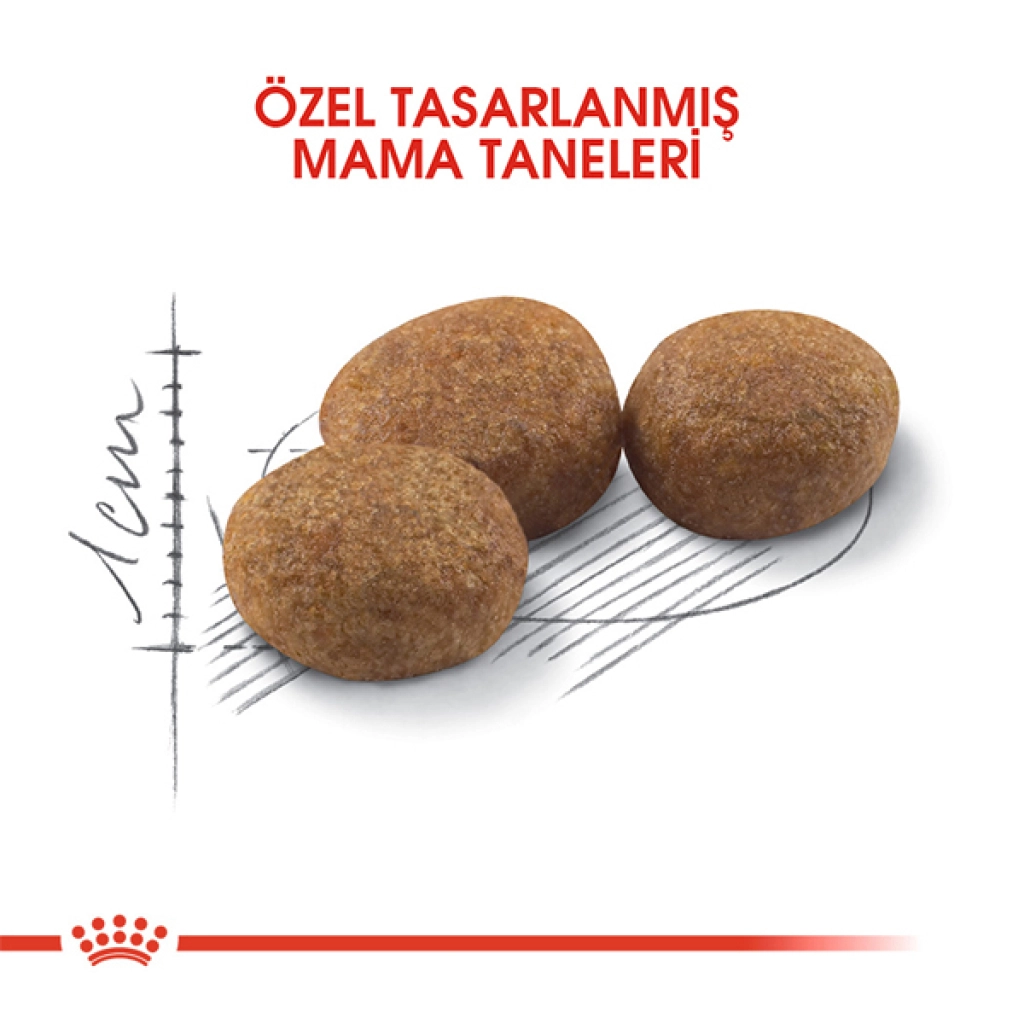 Royal Canin Sterilised 37 Kısırlaştırılmış Kedi Maması 10kg — görsel 5