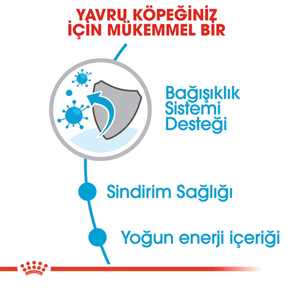 Royal Canin Mini Junior Küçük Irk Yavru Köpek Maması 4kg — görsel 5