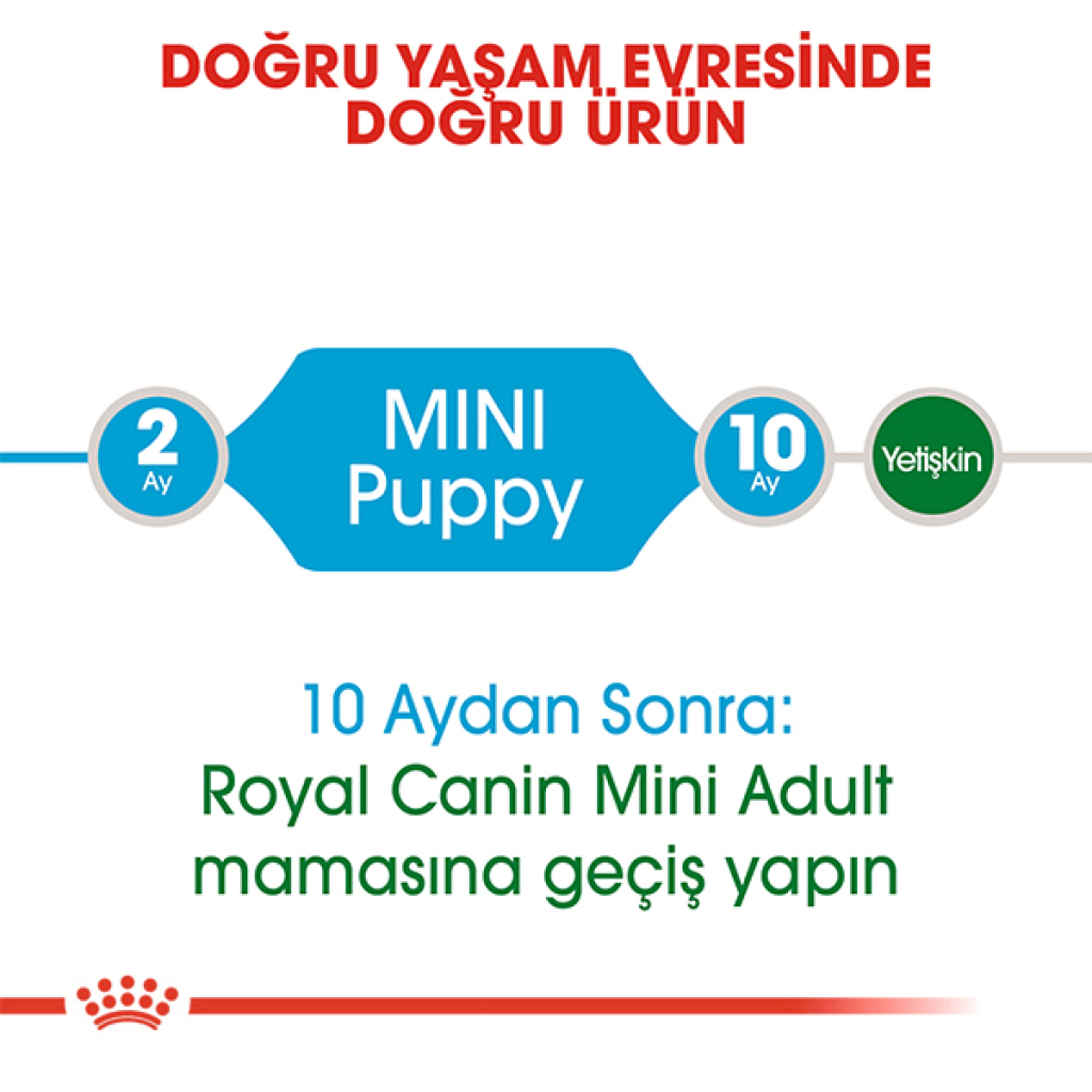 Royal Canin Mini Junior Küçük Irk Yavru Köpek Maması 4kg — görsel 6