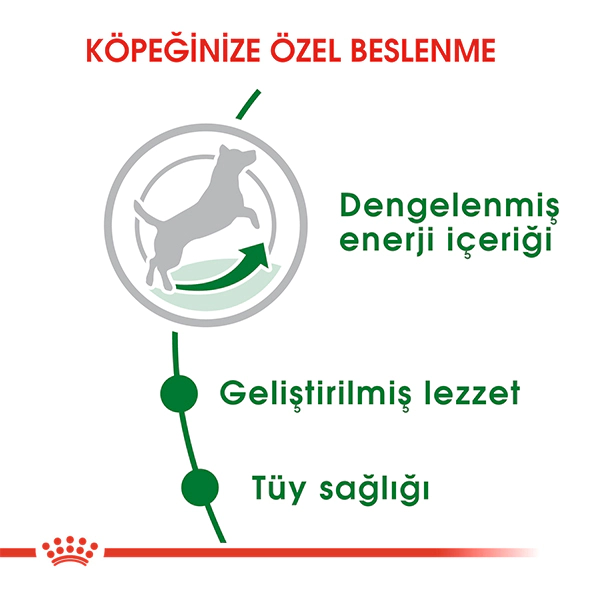 Royal Canin Mini Küçük Irk Yetişkin Köpek Maması 8kg — görsel 2