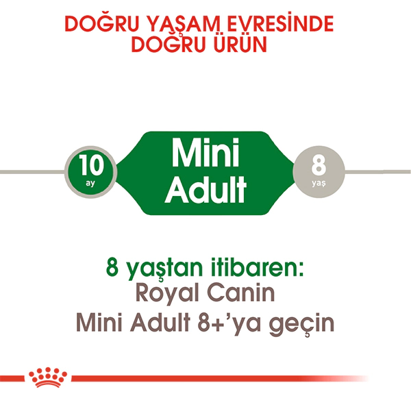 Royal Canin Mini Küçük Irk Yetişkin Köpek Maması 8kg — görsel 3