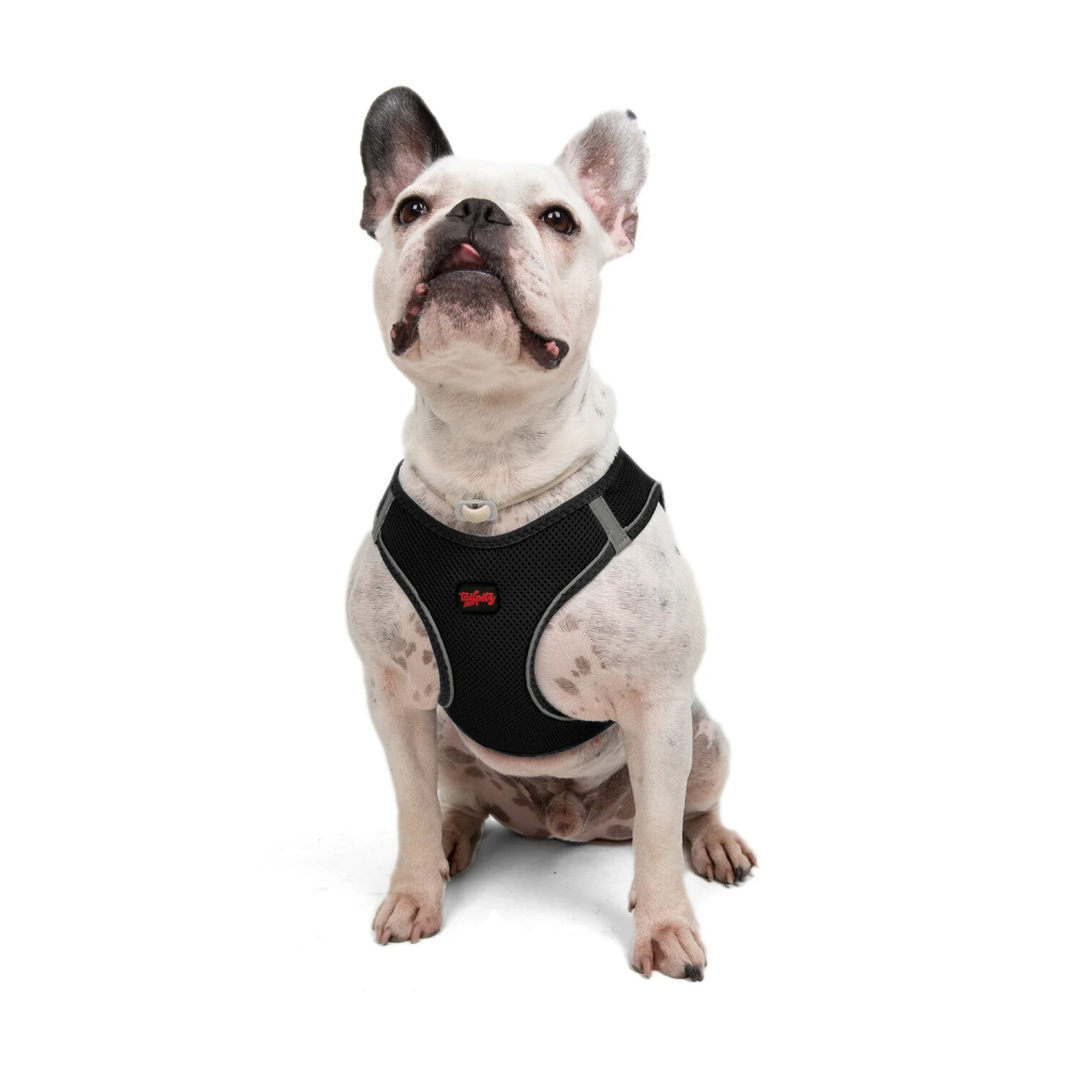 Tailpetz Air-Mesh Küçük Irk Köpek Göğüs Tasması 48-54cm (Siyah) [L] — görsel 6