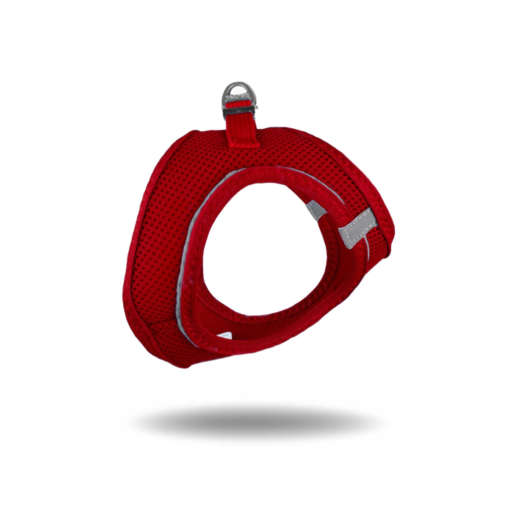 Tailpetz Air-Mesh Küçük Irk Köpek Göğüs Tasması 36-44cm (Kırmızı) [S] — görsel 2