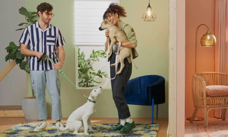 how to socialize a puppy