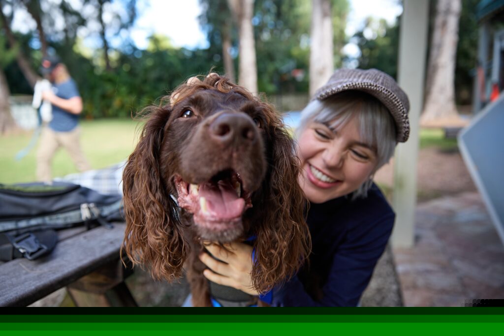 A happy Boykin Spaniel sits on his smiling pet parent’s lap at a picnic table.