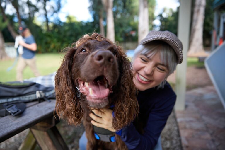 A happy Boykin Spaniel sits on his smiling pet parent’s lap at a picnic table.